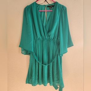 Womens or Junior's Pretty green long sleeve dress